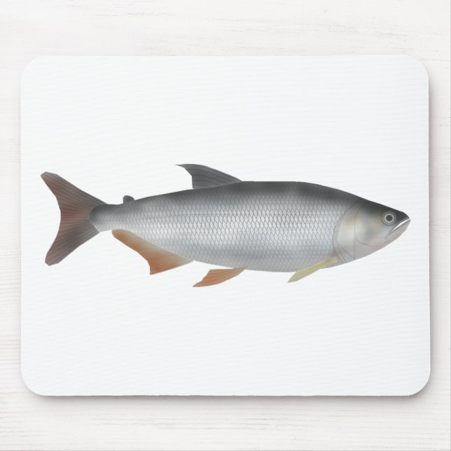 Tiete tetra mouse mat (Front)