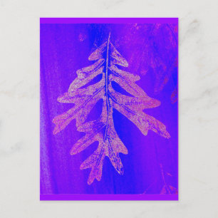 Tiferet Sh'b'tiferet Postcard
