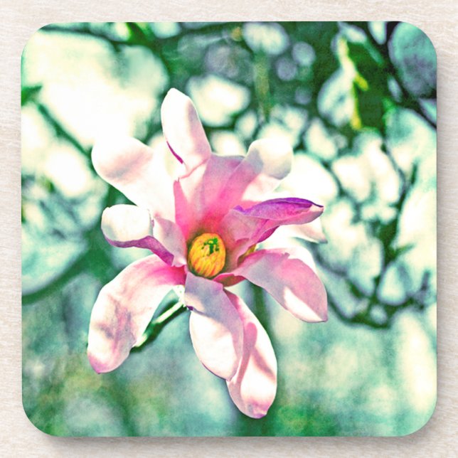 Tiffany Magnolia Coaster (Front)