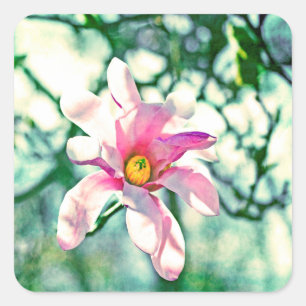 Tiffany Magnolia Square Sticker