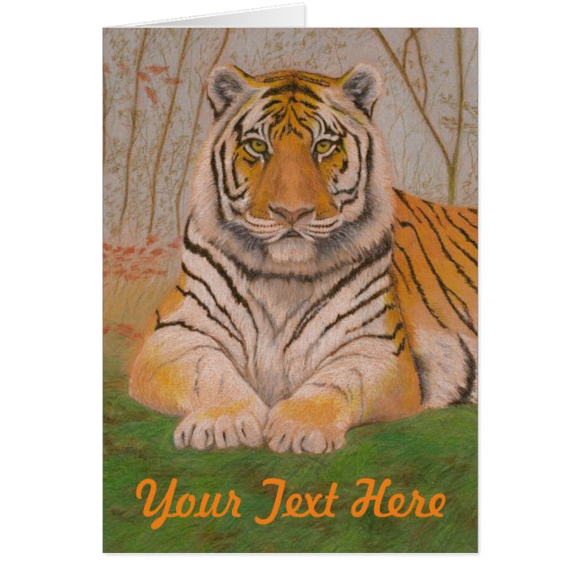Tiger (Front)