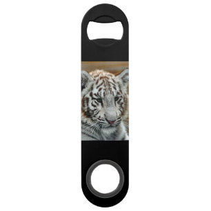 Tiger20151001