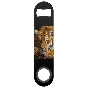 Tiger20151206