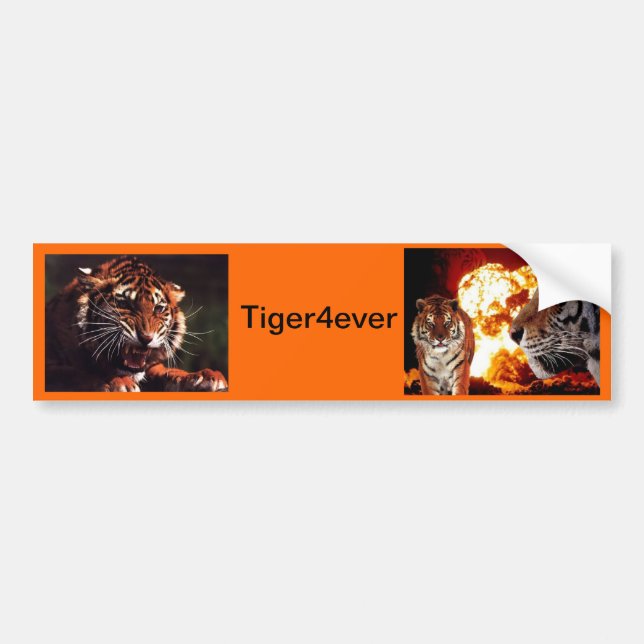 Tiger4ever Bumper Sticker (Front)