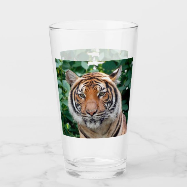 Tiger 001 glass (Front)
