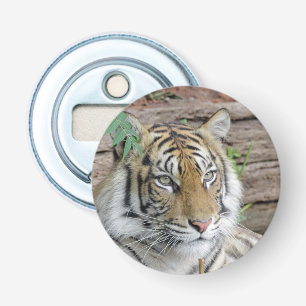 Tiger_002 Bottle Opener