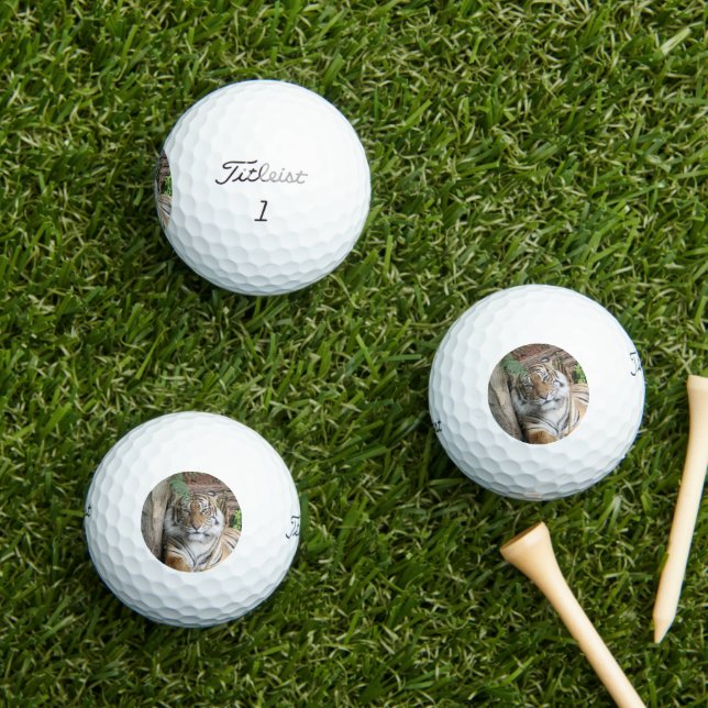 Tiger 005 golf balls (Insitu Grass)