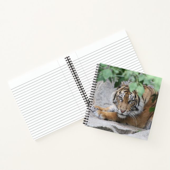 Tiger 008 notebook (Inside)