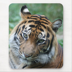 Tiger 013 mouse mat
