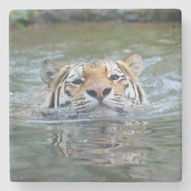 Tiger 028 stone coaster (Front)