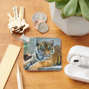 Tiger 034 key ring