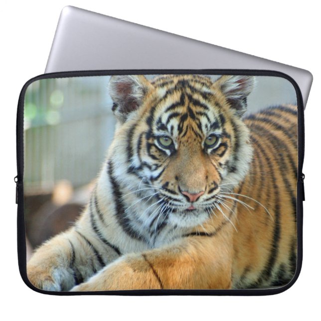 Tiger 034 laptop sleeve (Front)