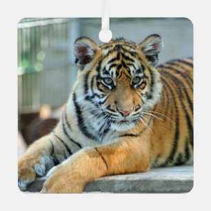 Tiger 034 metal tree decoration