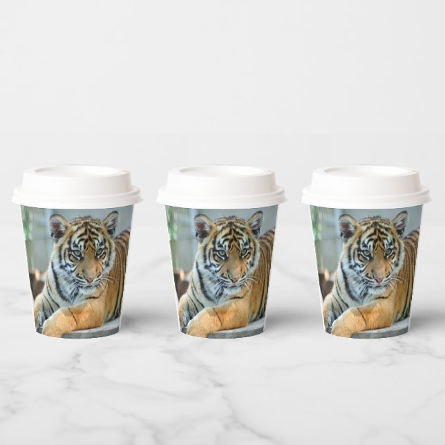 Tiger 034 paper cups (Multi)