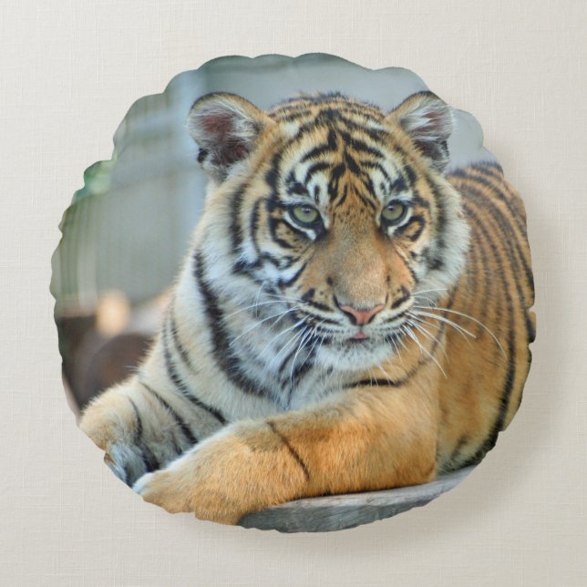 Tiger 034 round cushion (Front)