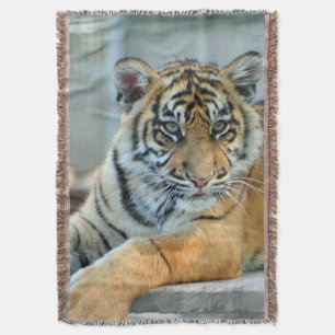 Tiger 034 throw blanket