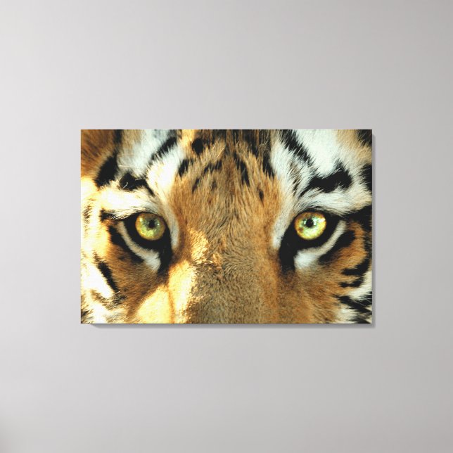 Tiger 1 - Wrapped Canvas (Front)
