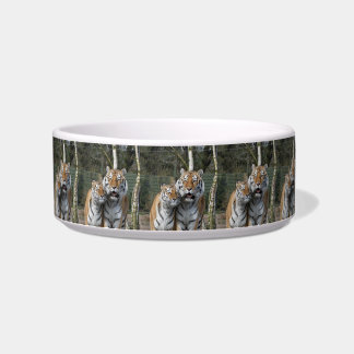 Tiger_2015_0401 Bowl