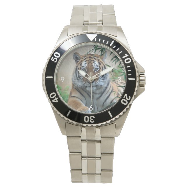 Tiger_20171103_by_JAMFoto Watch (Front)