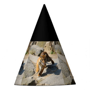 Tiger_20190302_by_JAMFoto Party Hat