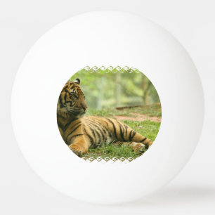 tiger-28 ping pong ball