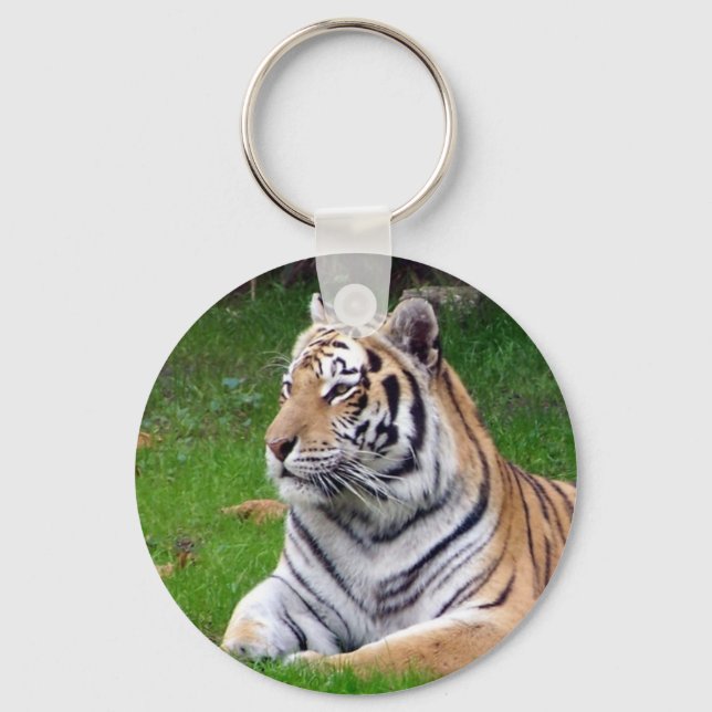 tiger 2 key ring (Front)