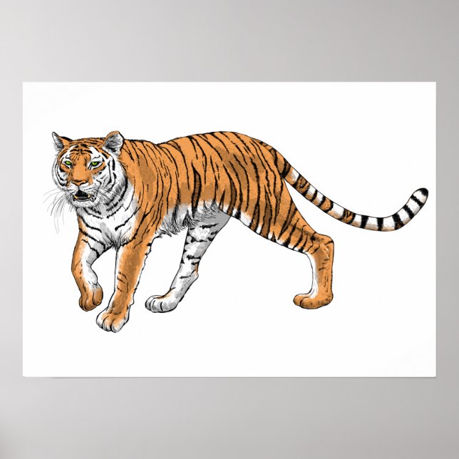 Tiger 2 poster (Front)