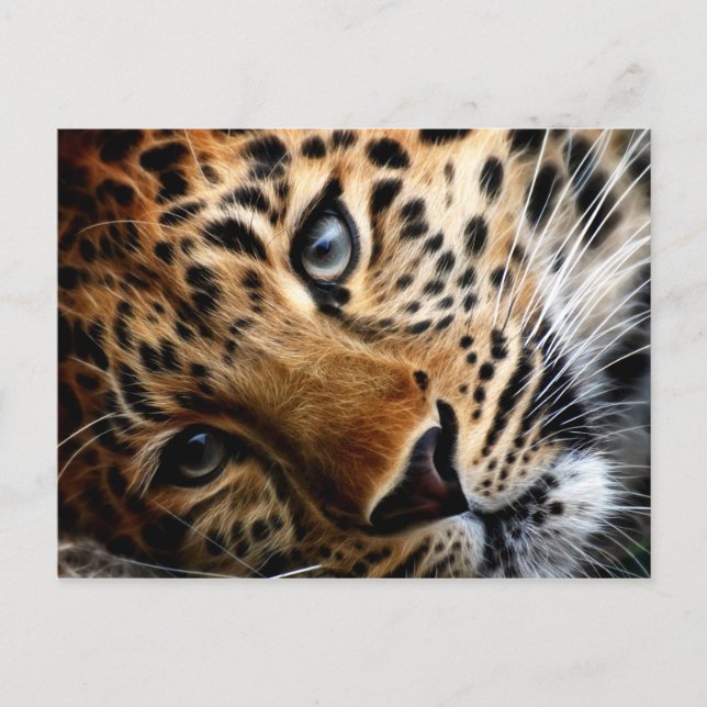 Tiger 3 - Postcard (Front)