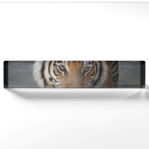 tiger-54 nameplate