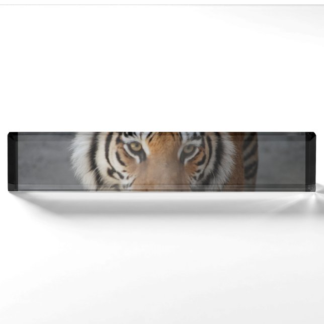 tiger-54 nameplate (Front)