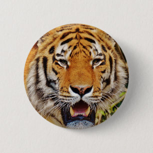 Tiger 6 Cm Round Badge