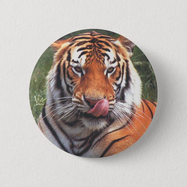 Tiger 6 Cm Round Badge (Front)
