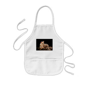 Tiger - A baby snow tiger Kids Apron