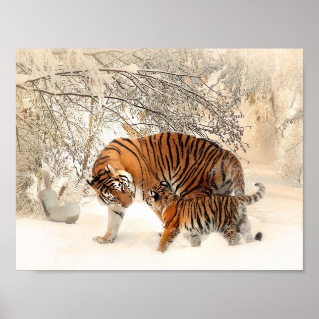 Tiger and cub in snow poster (Front)