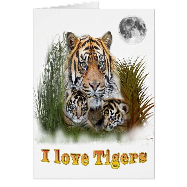 Tiger and cubs (Front)