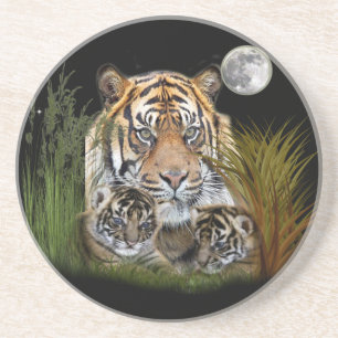 Tiger and cubs coaster