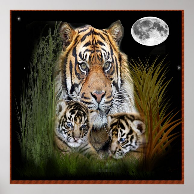 Tiger and cubs poster (Front)