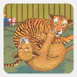 tiger and leopard wrestling square sticker