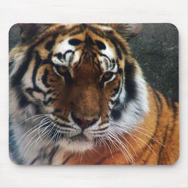 Tiger and Mouse... Mouse Mat (Front)