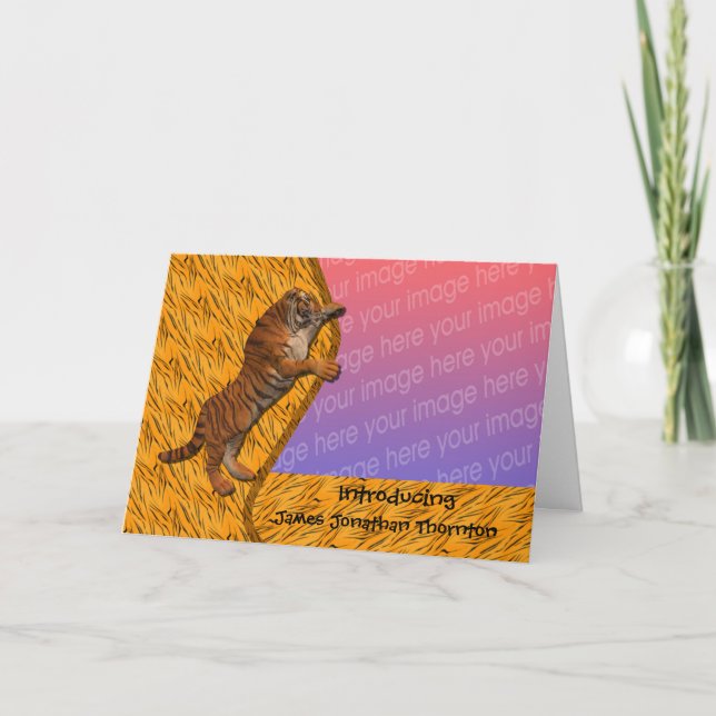 Tiger Animal Birth Announcement Photo (Front)