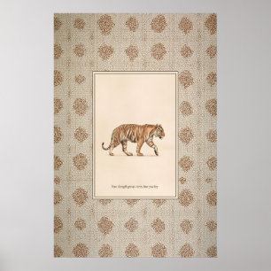 Tiger Animal Illustration Poster Walking Tiger Art