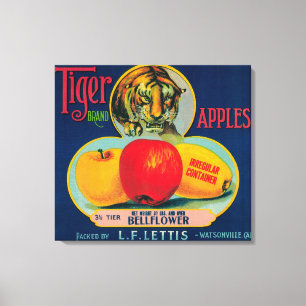 Tiger Apple Crate LabelWatsonville, CA Canvas Print