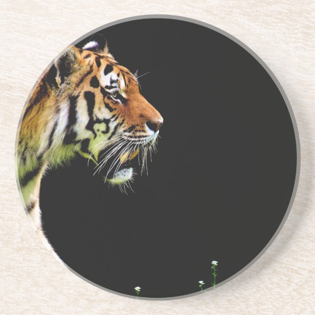 Tiger Approaching - Wild Animal Artwork Coaster (Front)