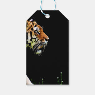 Tiger Approaching - Wild Animal Artwork Gift Tags