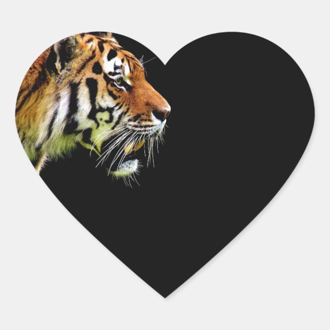 Tiger Approaching - Wild Animal Artwork Heart Sticker (Front)