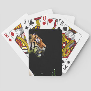 Tiger Approaching - Wild Animal Artwork Playing Cards