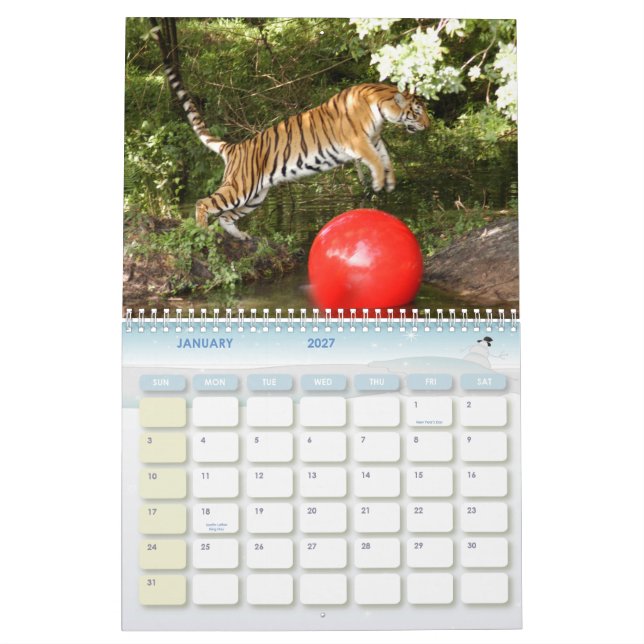 Tiger_Aroara012, Tiger Auroara Calendar (Jan 2027)