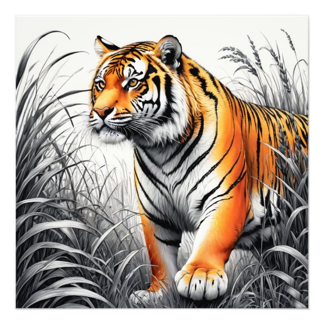 Tiger Art Colour Partial Black White Drawing Photo Print (Front)