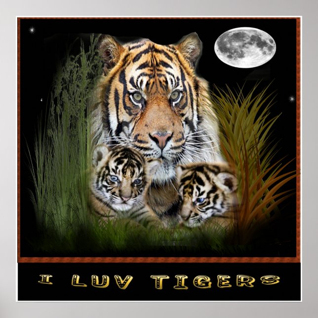 Tiger art poster (Front)