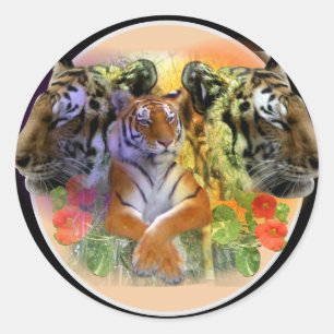 Tiger at Henry Doorly Zoo Classic Round Sticker